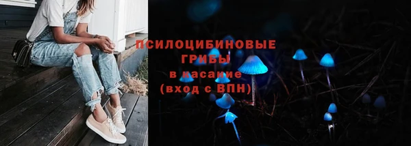 ПСИЛОЦИБИНОВЫЕ ГРИБЫ Горняк