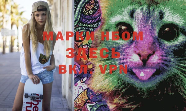 PSILOCYBIN Богородицк