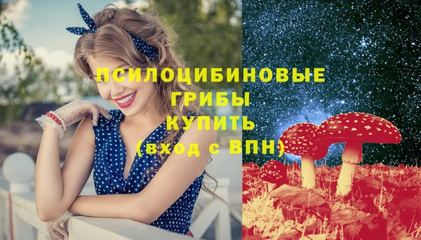 jwh Богородск