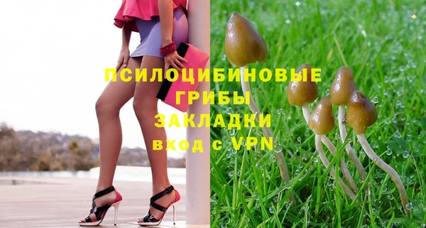 PSILOCYBIN Богородицк