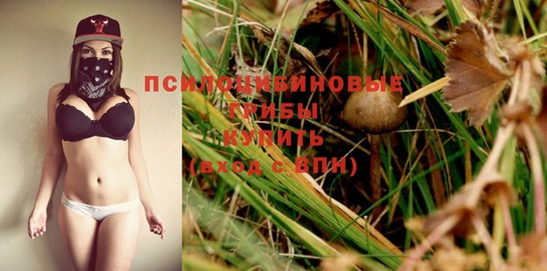 PSILOCYBIN Богородицк