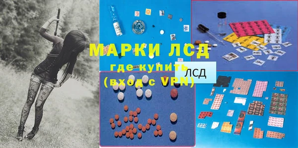 PSILOCYBIN Богородицк