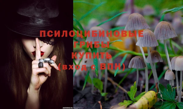 PSILOCYBIN Богородицк