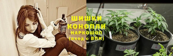 jwh Богородск